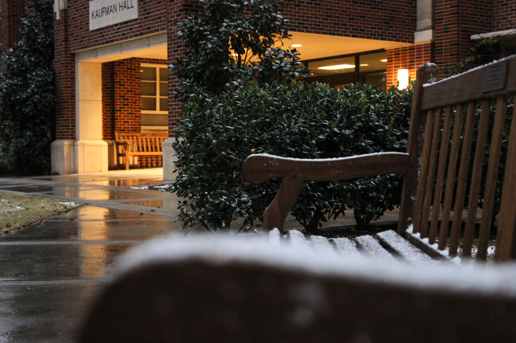 Kaufman Snowy